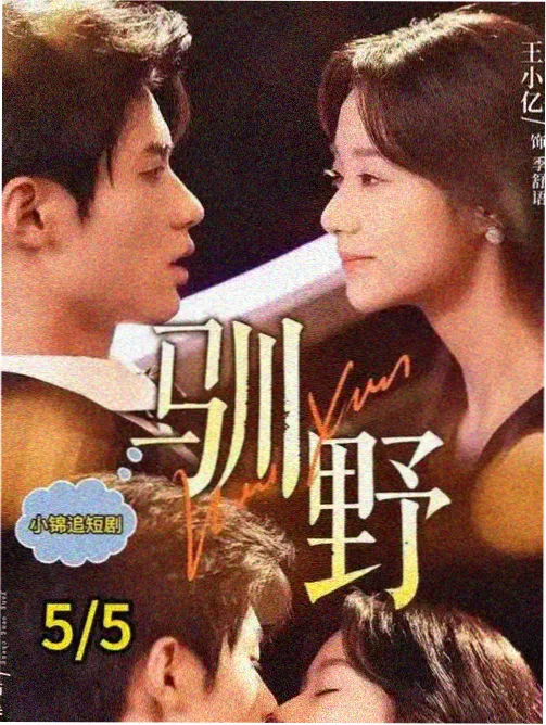 深巷灯火 全集免费在线观看